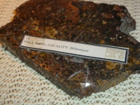 DSC08981