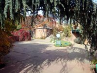 DSC03635