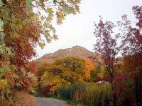 DSC03745