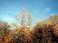 DSC04166