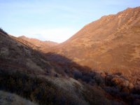 DSC04199