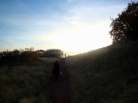 DSC04201
