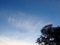 DSC04212