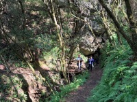 4fd8d23f-49bf-4e9b-a5f2-a63ba816e9bc