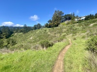 IMG_7075