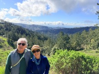 a6115878-6cda-4e81-9951-a77a0a382bf4