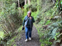 d3483bfc-37b6-4942-b87b-0f1edb295d45