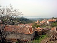 DSC01937