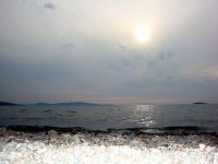 DSC02059