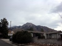 DSC05386