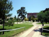 DSC04051
