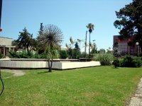 DSC04054