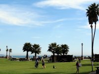 IMG_0341