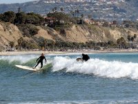 IMG_0361
