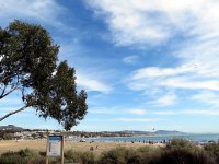 IMG_0373