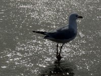 IMG_0415