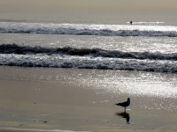 IMG_0425
