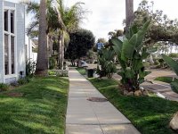 IMG_0446