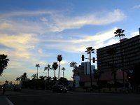 IMG_0460