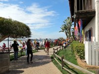 IMG_0539