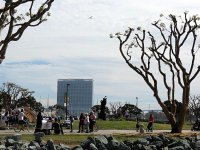 IMG_0541