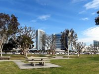 IMG_0566
