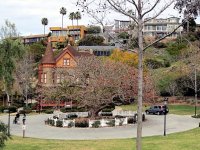 IMG_0608