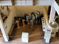 IMG_0669