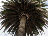 IMG_0761