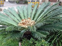 IMG_0766