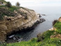 IMG_0775