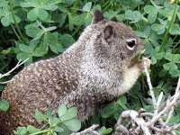 IMG_0812