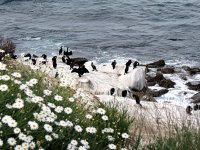 IMG_0816