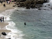 IMG_0833