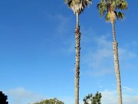 IMG_0877
