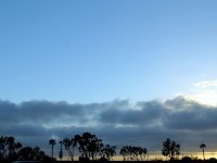 IMG_0885