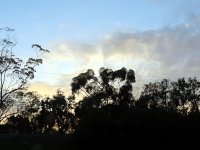 IMG_0887