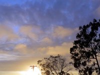 IMG_0888