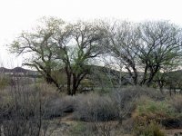IMG_3721