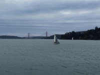 IMG_1517