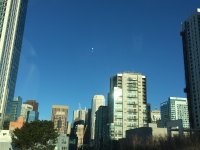 IMG_1536