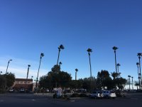 IMG_1612