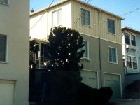 216165OAKLANDGLENFIELDAVENU