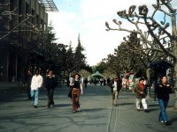 216183BERKELEY