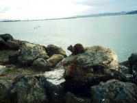 216191BERKELEYFRONTWATER