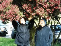 218242GOLDENGATEPARK