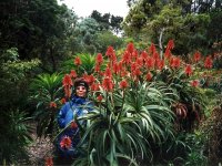 218248GOLDENGATEPARK