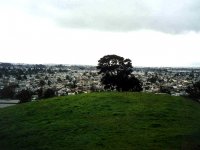 221258OAKLAND