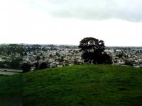 221259OAKLAND1