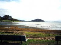 221265TIBURON